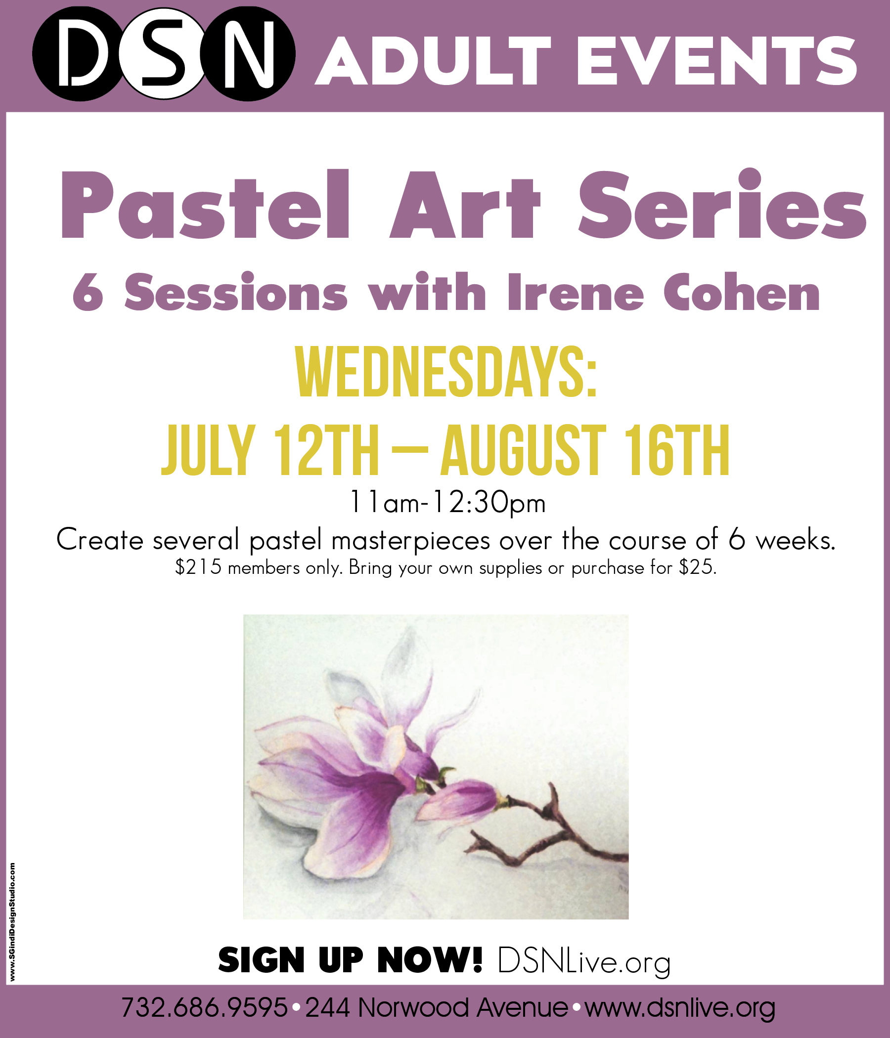 DSN Adult Pastel Art Series