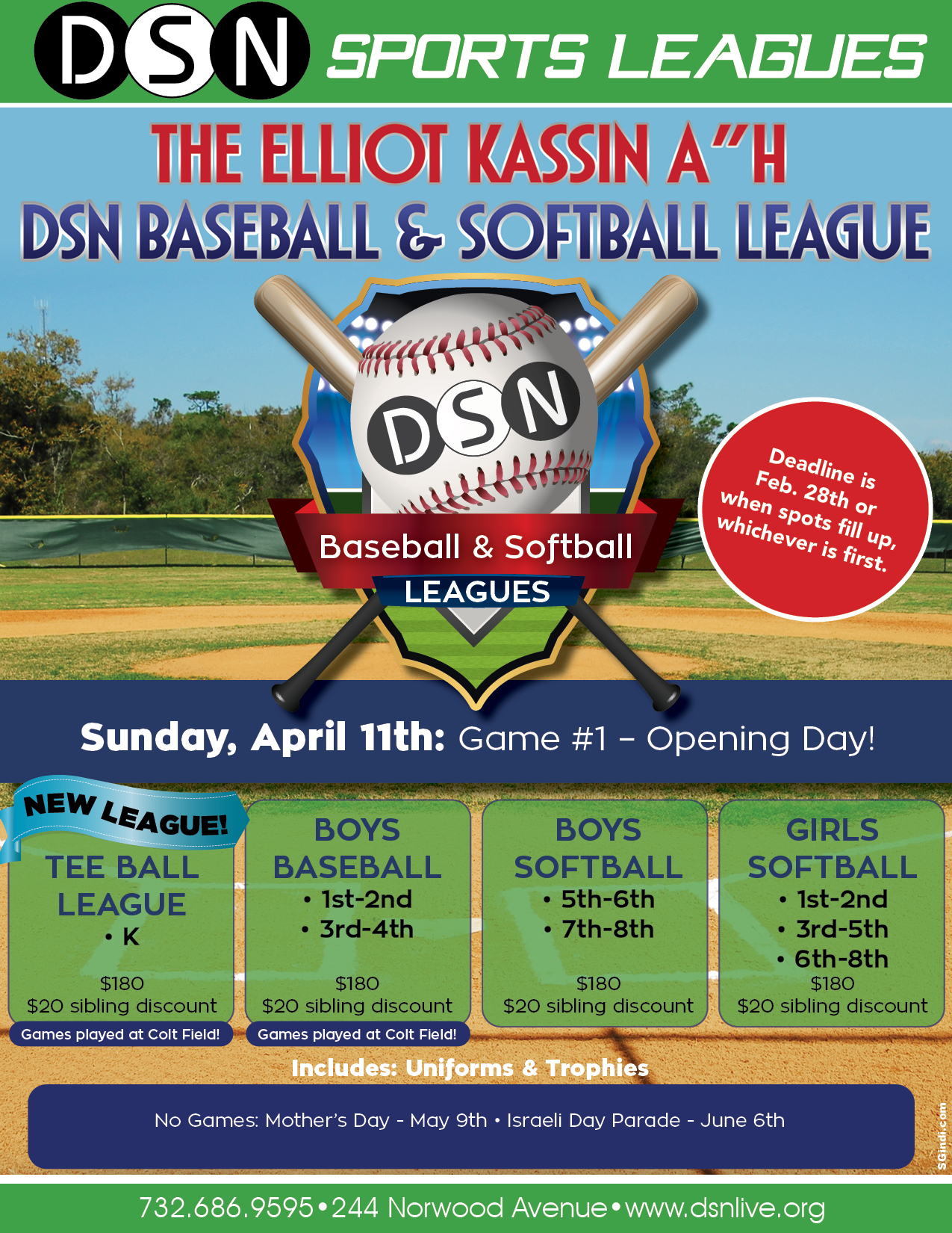 DSN Baseball & Softball League