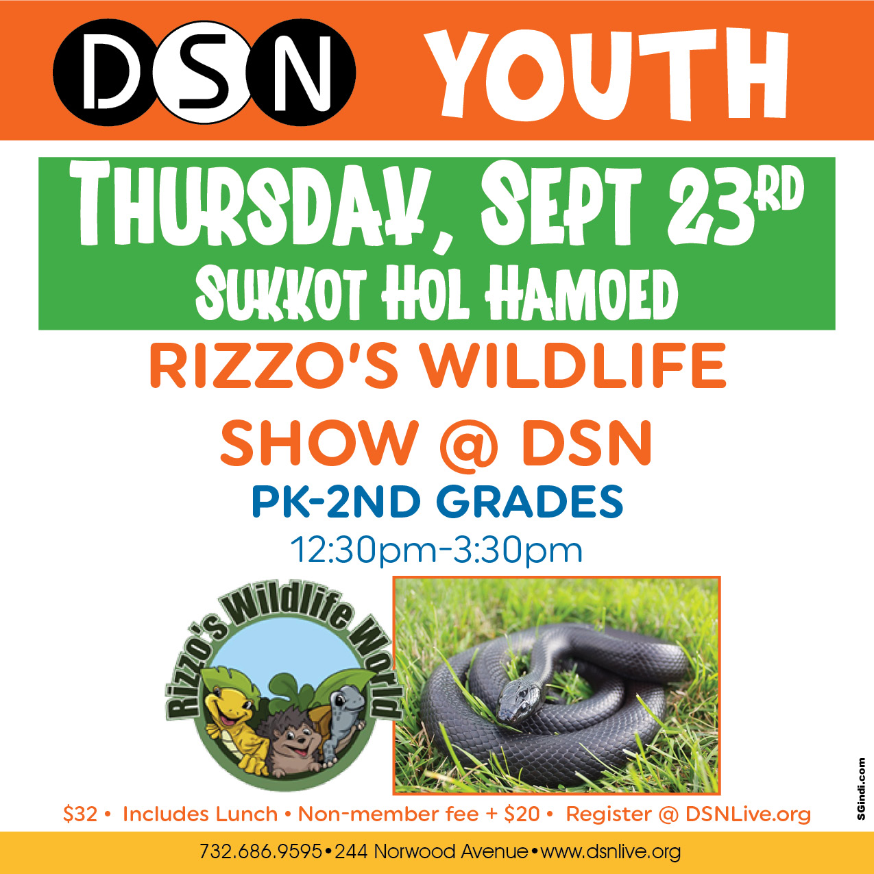 Rizzo's Wildlife Show