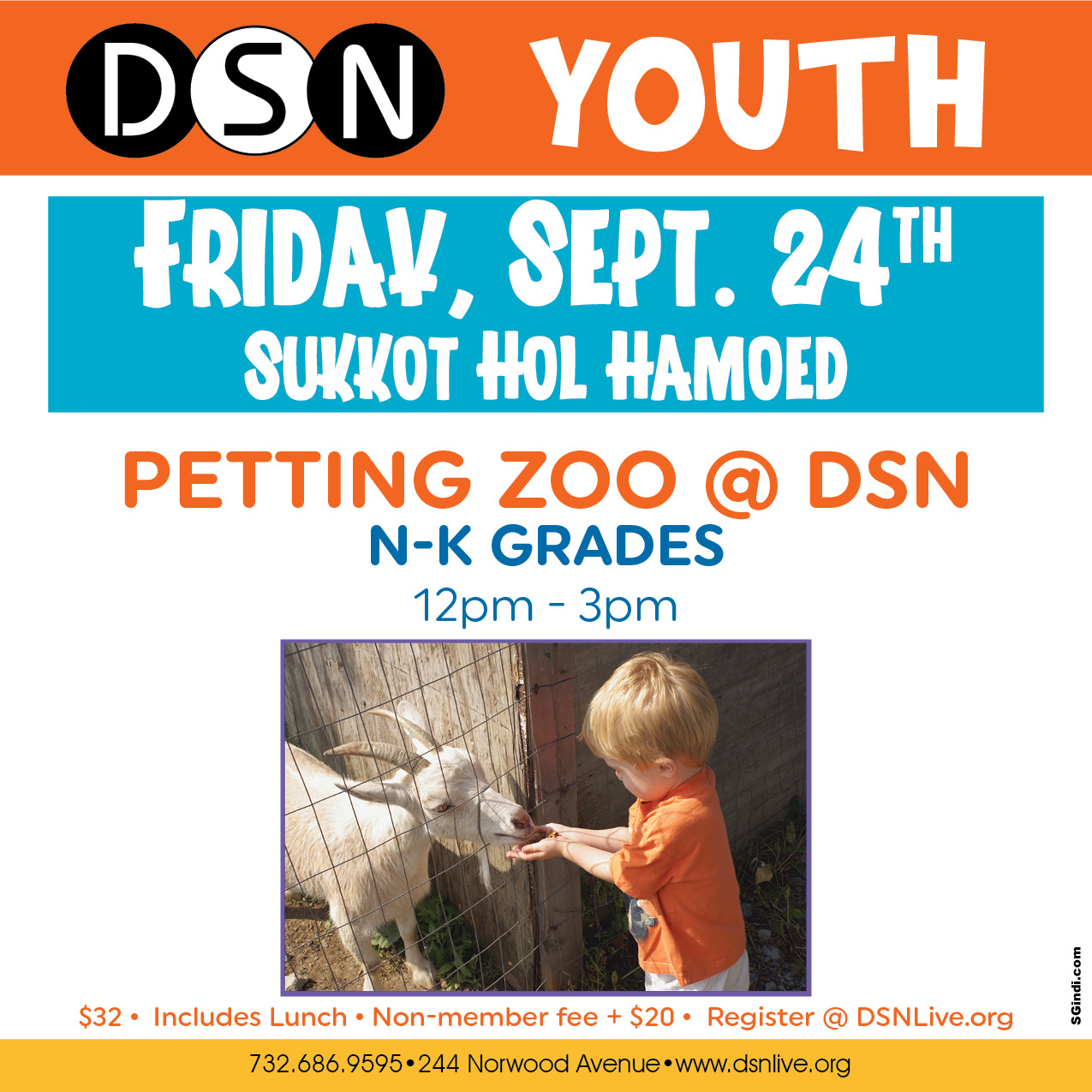Petting Zoo @ DSN